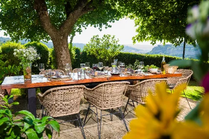 A long table laid for lunch under a tree in the garden